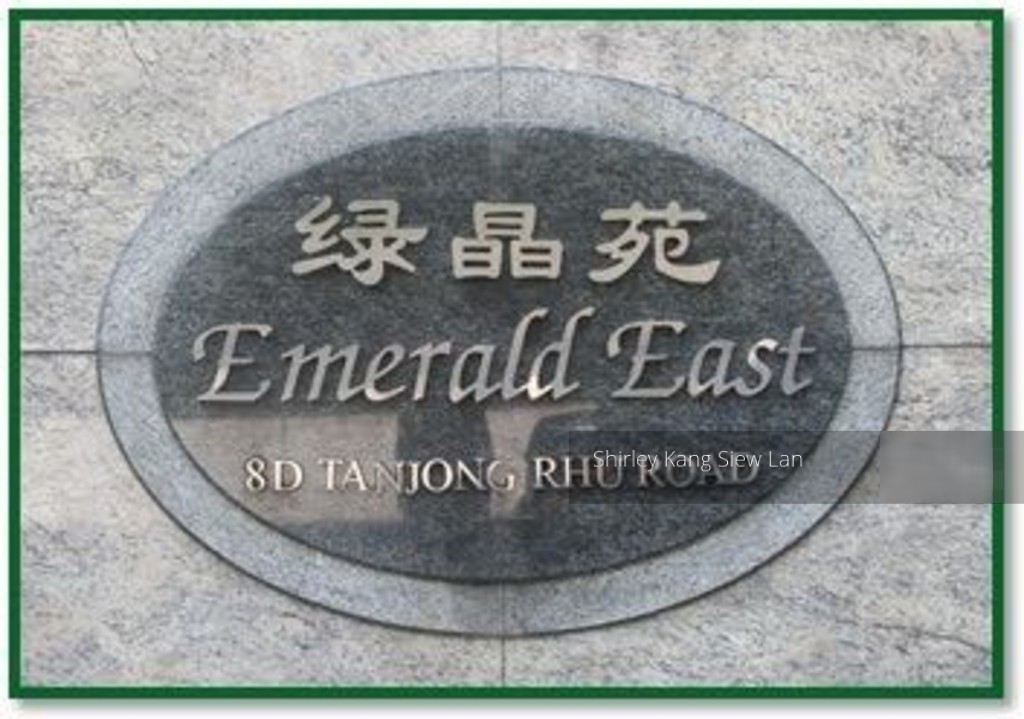 Emerald East (D15), Apartment #138645362